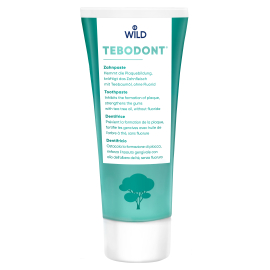 TEBODONT Зубная паста с маслом чайного дерева (Melaleuca Alternifolia), без фторида, 75 мл